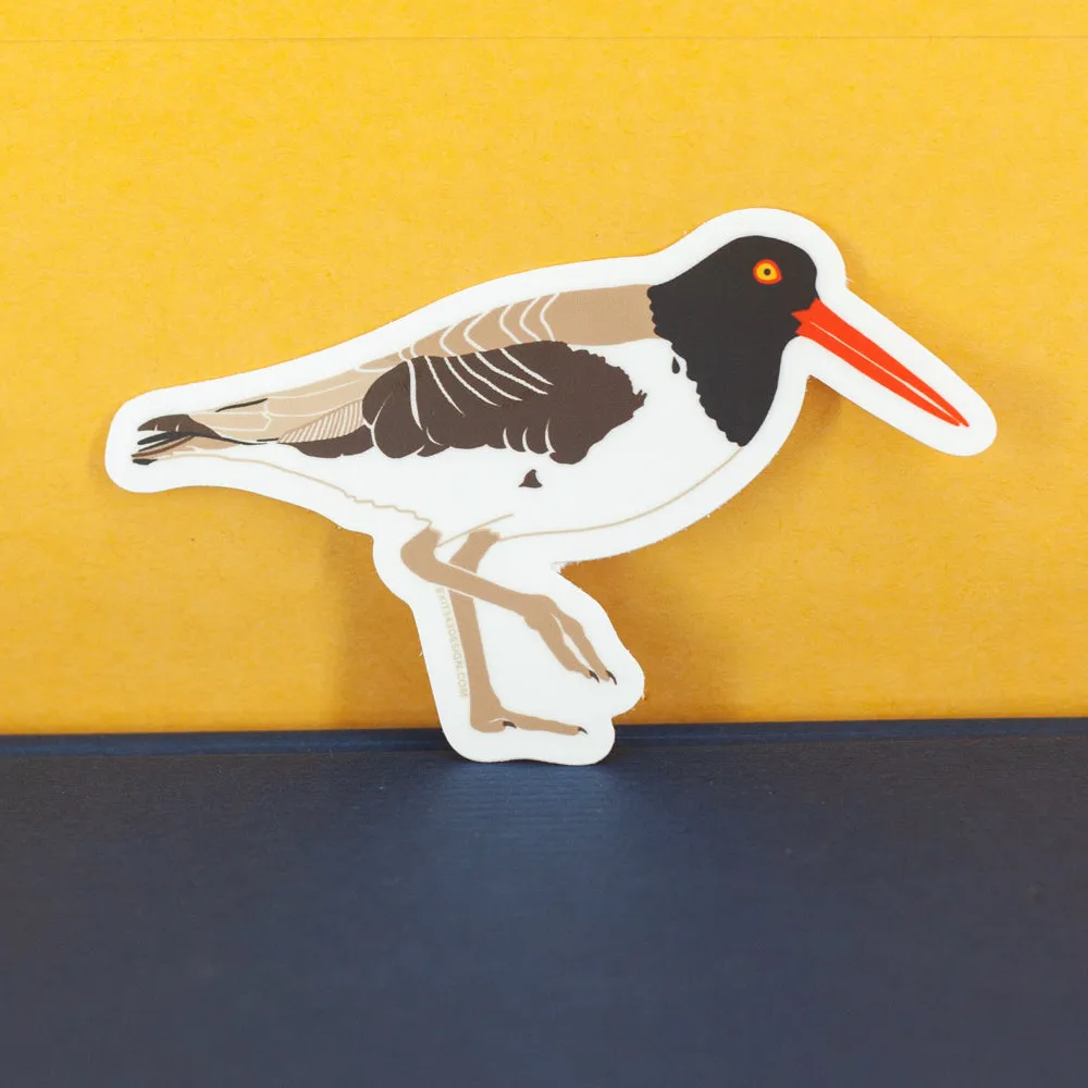 American oystercatcher sticker, gift for bird watcher, Audobon bird nerd