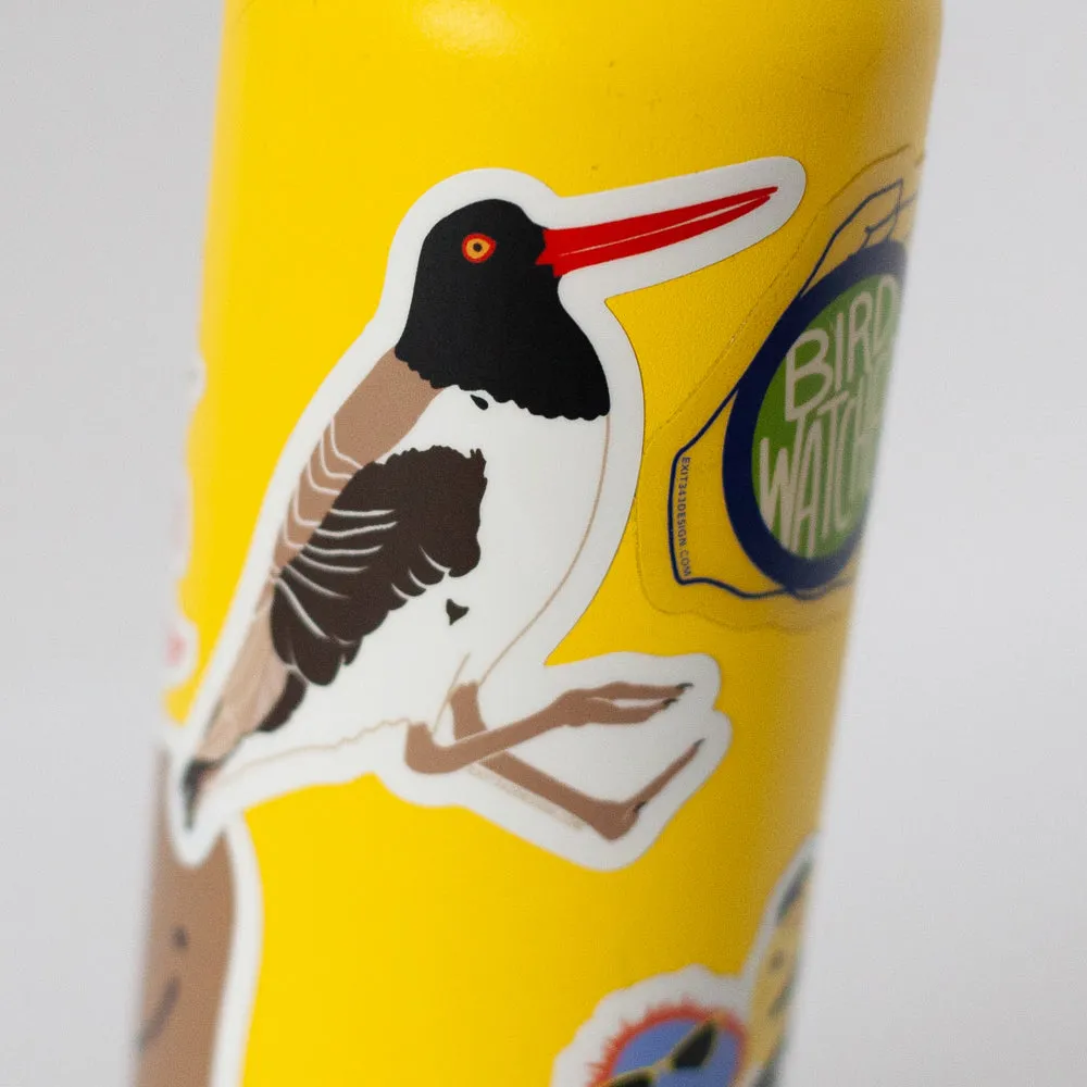 American oystercatcher sticker, gift for bird watcher, Audobon bird nerd