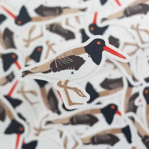 American oystercatcher sticker, gift for bird watcher, Audobon bird nerd