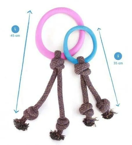 Beco Hoop on a Rope Dog Toy