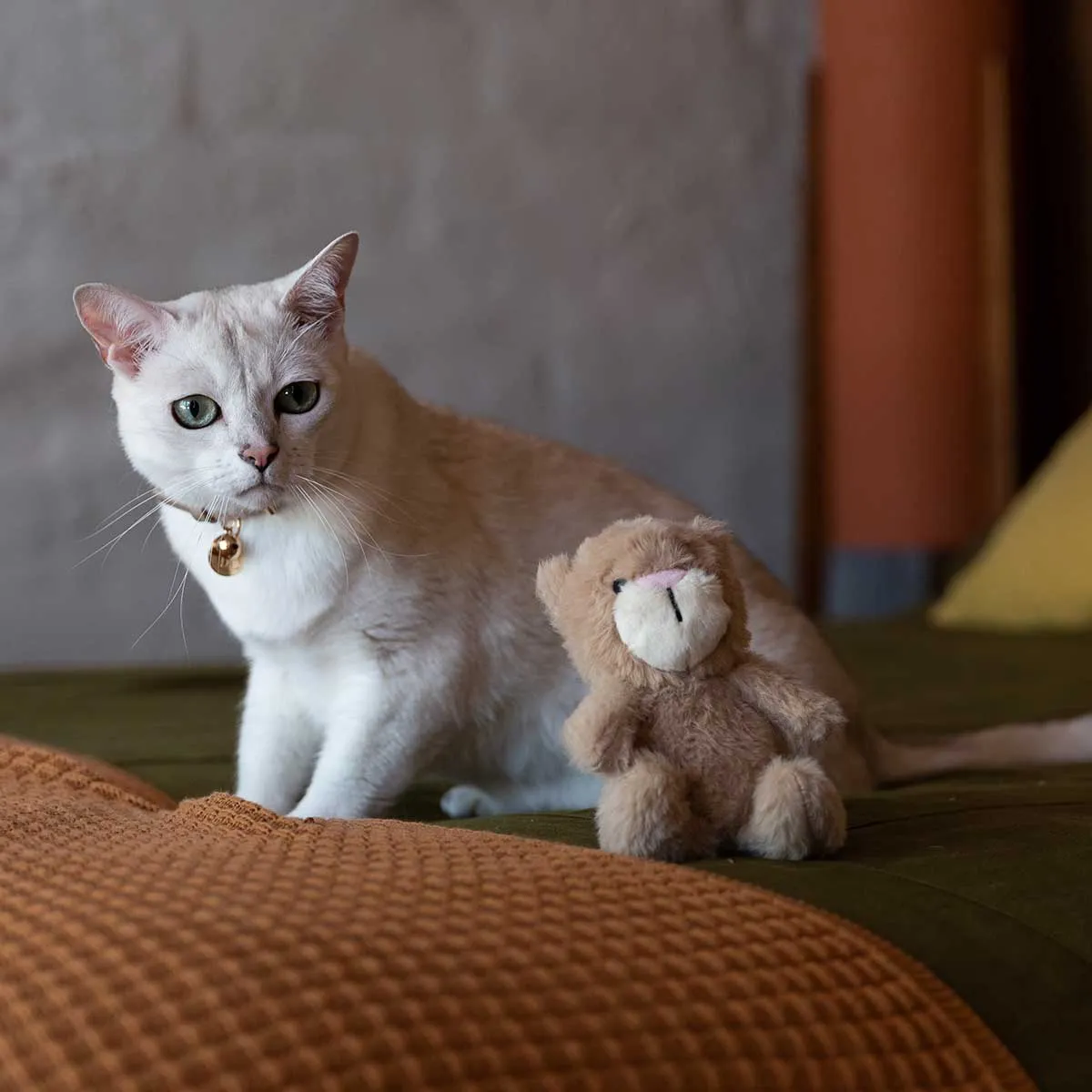 Buddy & Belle Plush Toy Cat Praline