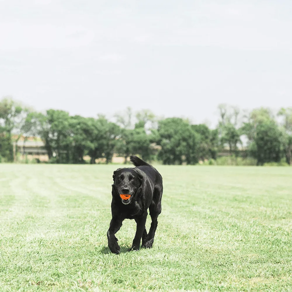 Chuckit! Breath Right Fetch Toy for Dogs | For Medium Chewers