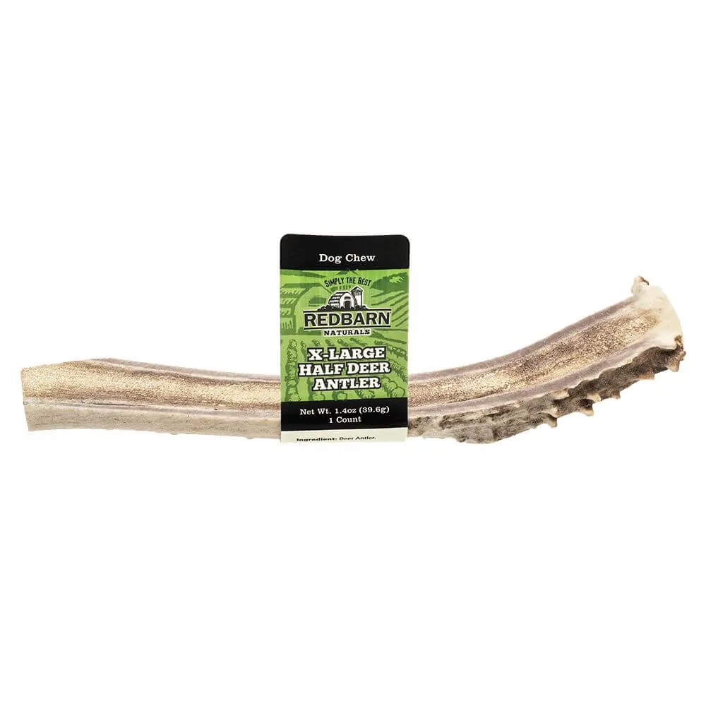 Deer Antler