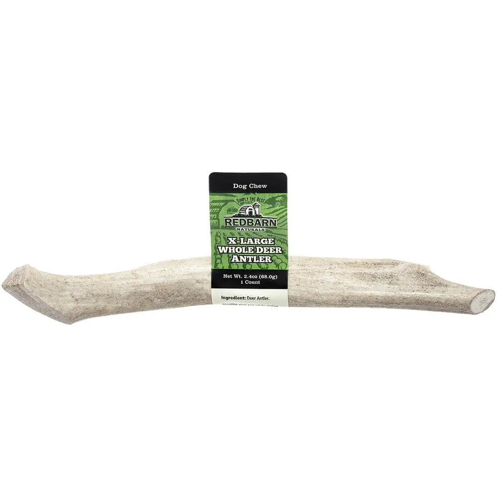 Deer Antler