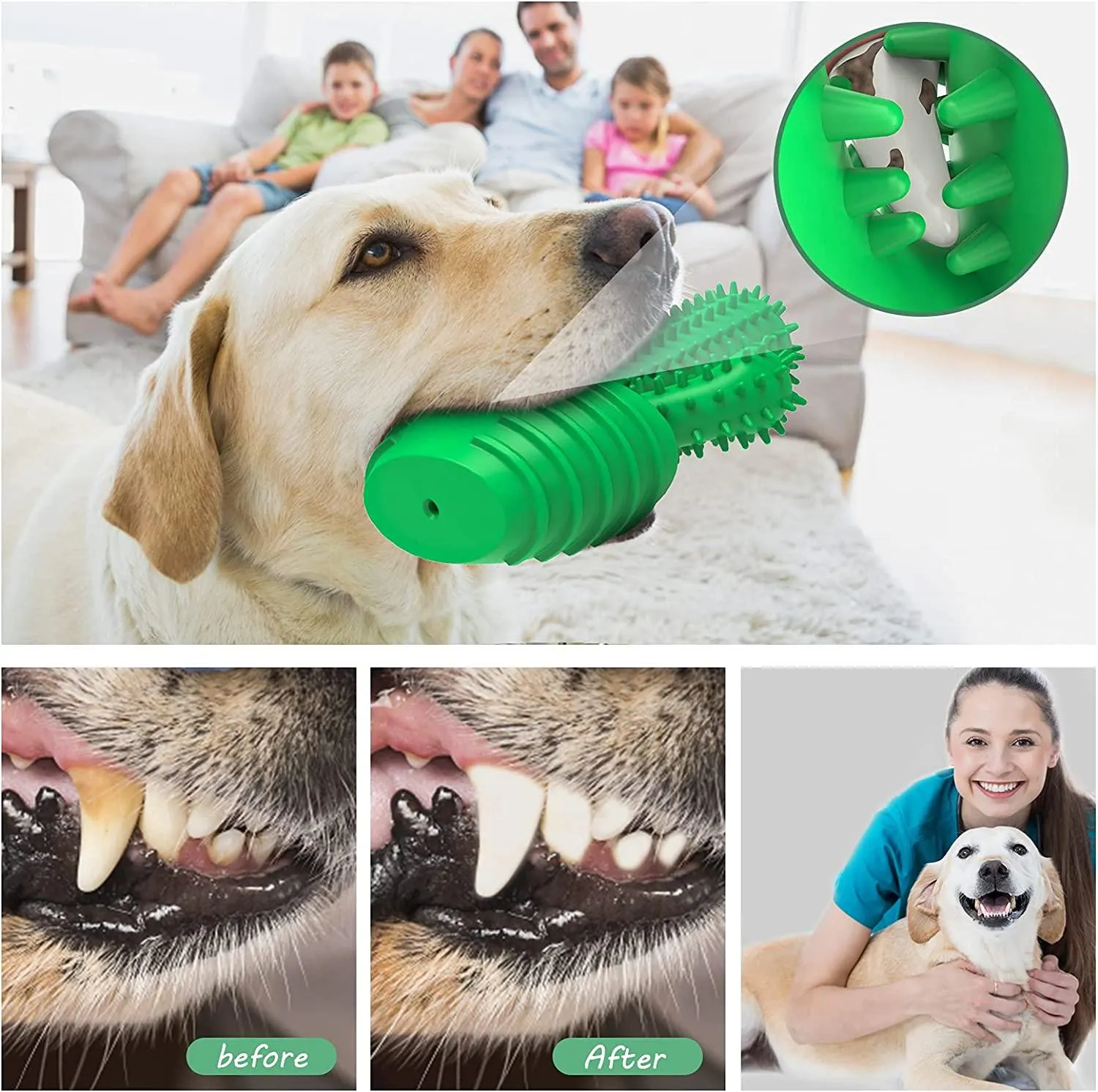 Dog Chew Toys Dog Toothbrush Stick Teeth Cleaning Brush Dental for Small Medium Large Dog, Rubber Dog Squeaky Toys for Aggressive Chewers Cactus Tough Toys Interactive for Training Cleaning Teeth