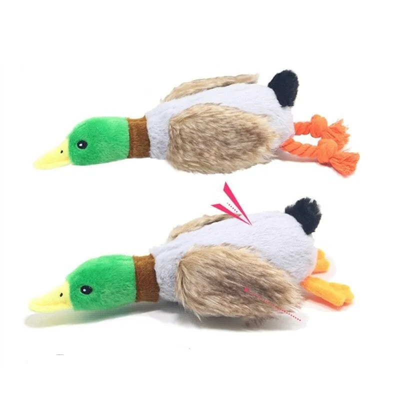 Duck Sound Stuffed Dog Toys