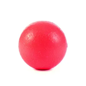 Fetch Ball in Red