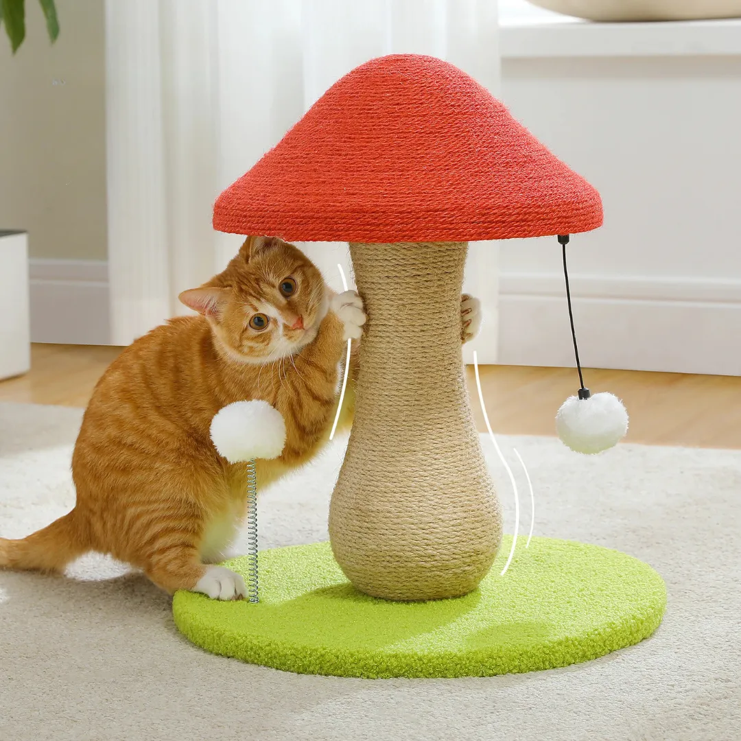 Fungi Frenzy Cat Scratcher