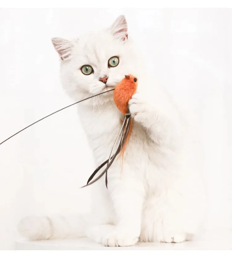 Interactive Feather Teaser Cat Toy with Bell and Suction Cup