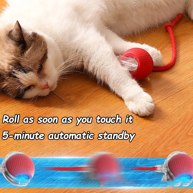 Interactive Rechargeable Cat Ball Toy