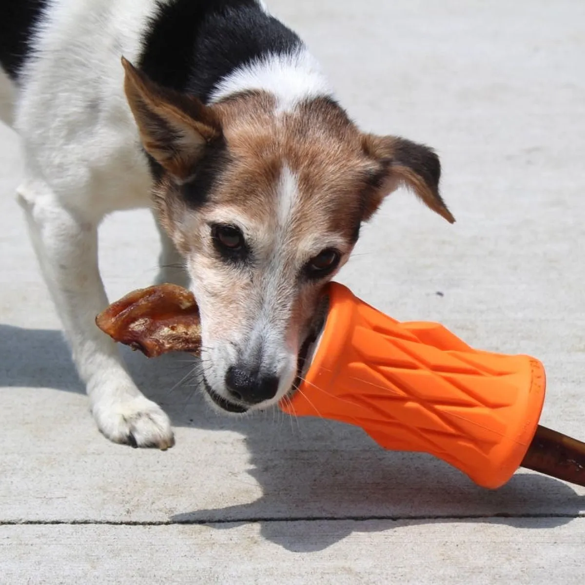 Interactive Treat Dispensing Puzzle Rubber Dog Toy: Tree Trunk