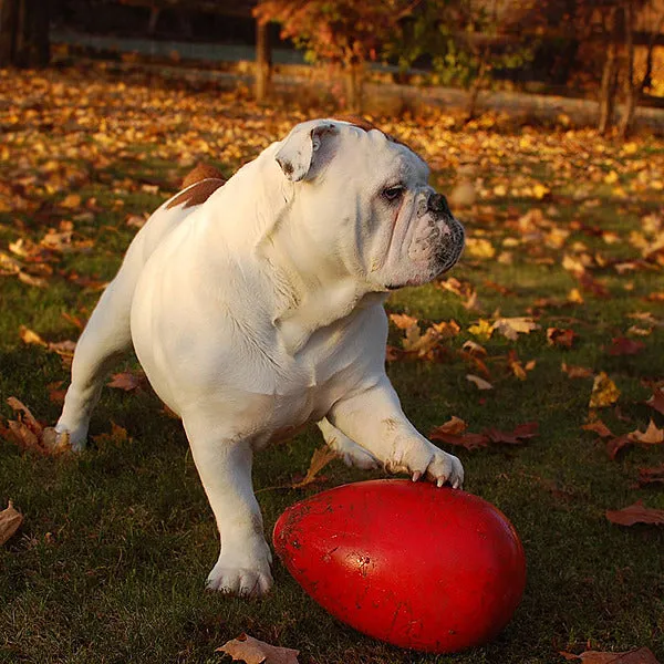 Jolly Pets Egg Toy Red