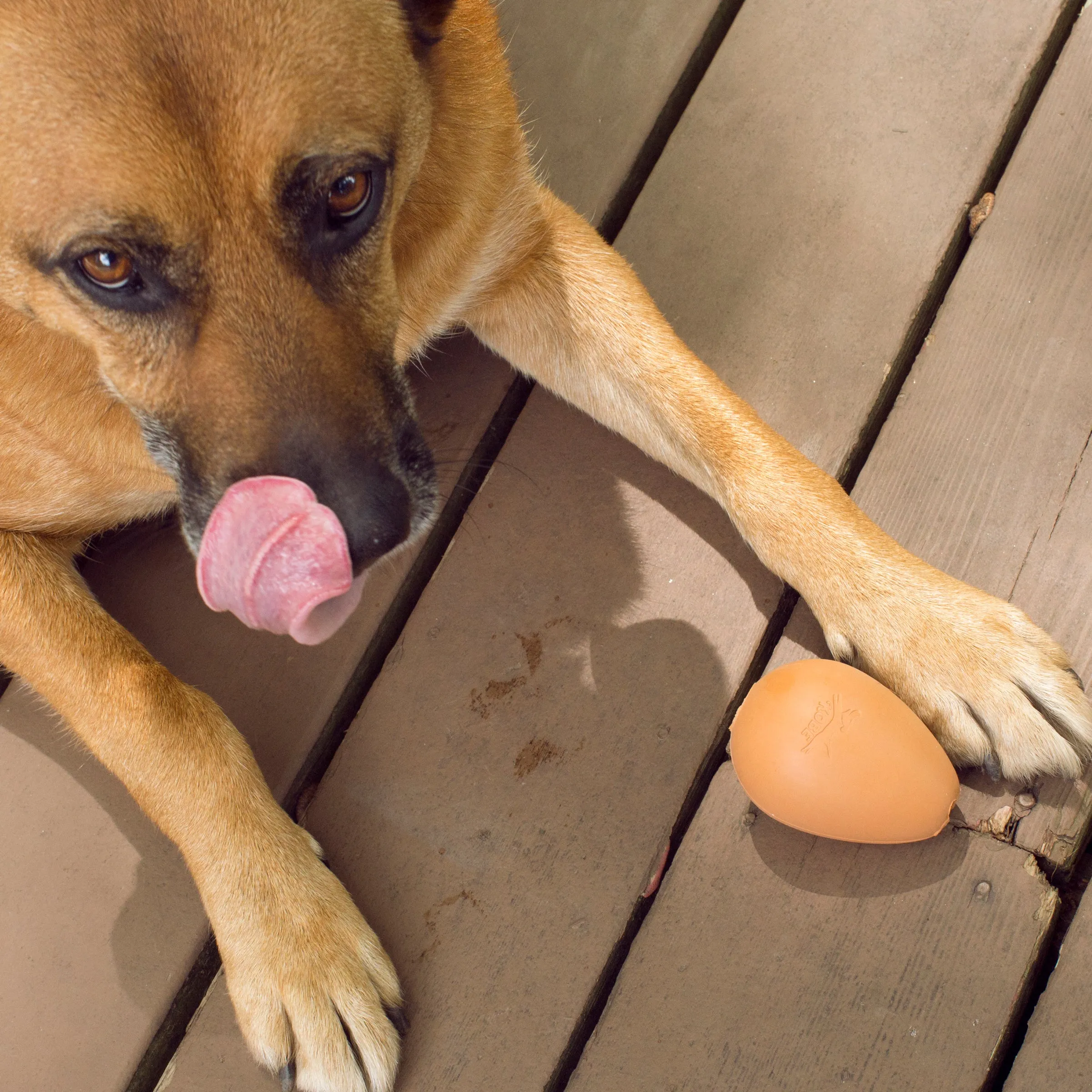 Kobe Bouncy Egg Treat Ball