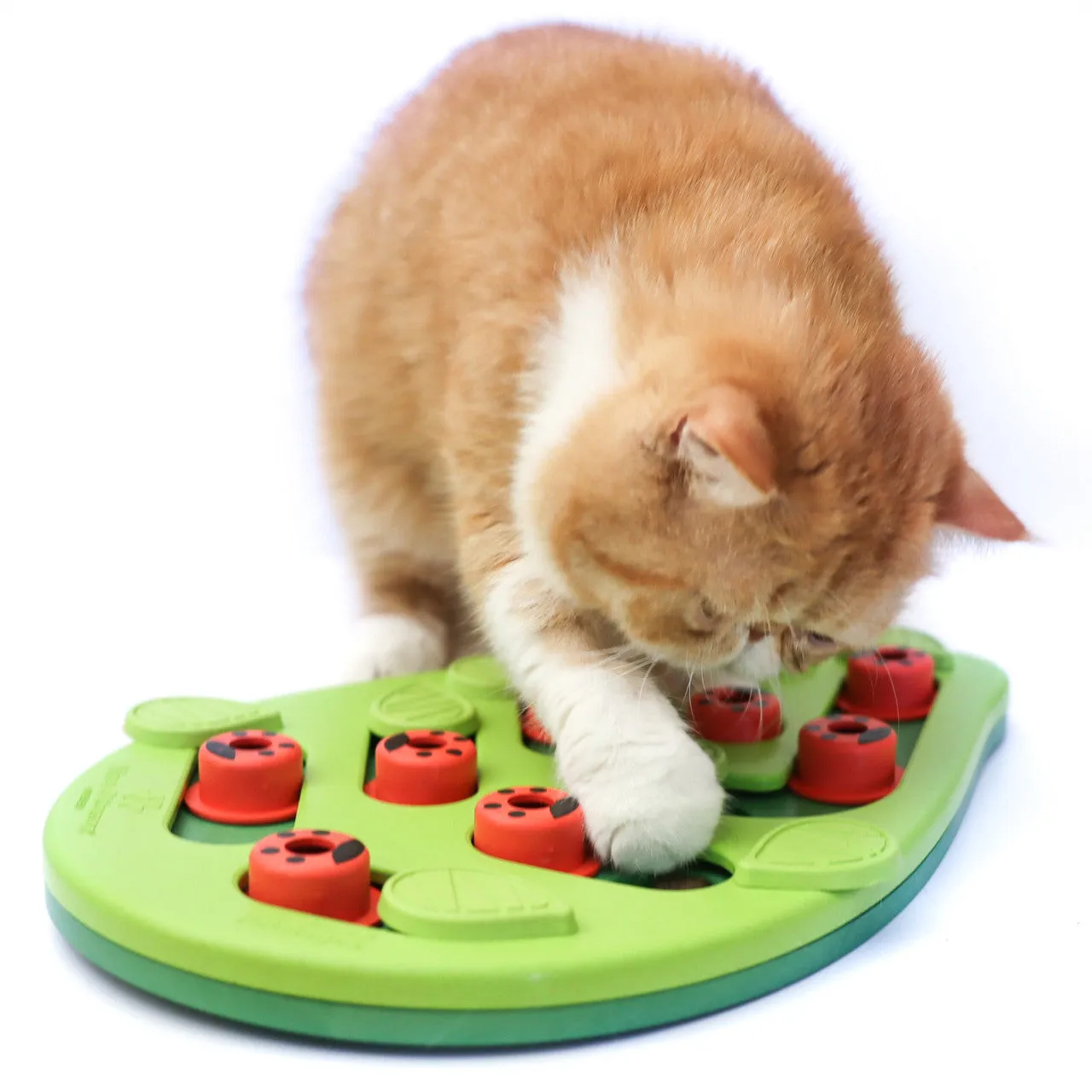 Petstages Buggin' Out Puzzle & Play Cat Toy