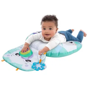 Playgro - Polar Pals Tummy Time Activity Pillow