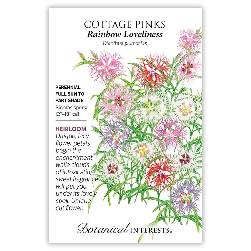 Rainbow Loveliness Cottage Pinks Seeds