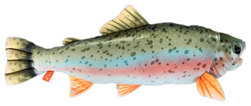 Rainbow Trout Plush 18"