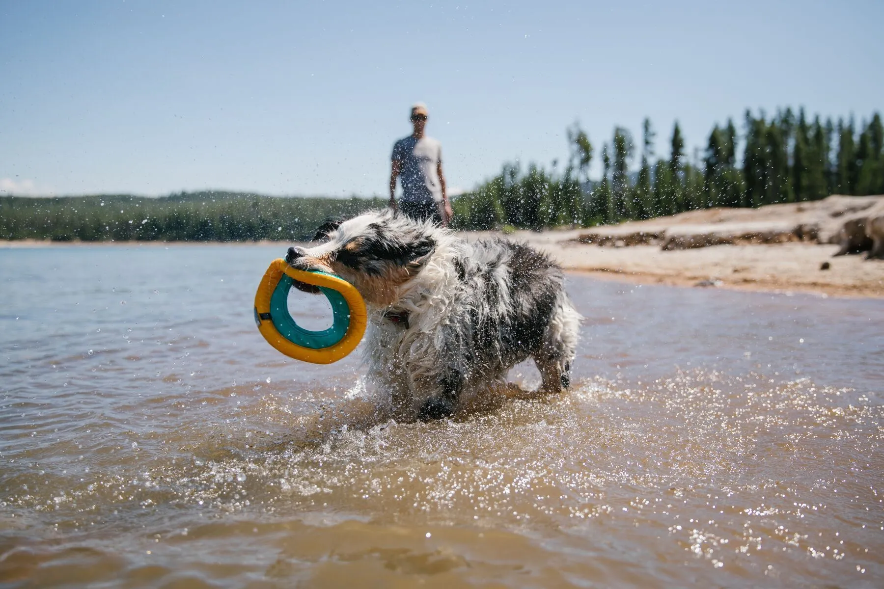 Ruffwear Hydro Plane™ High-Floating Foam Tug & Fetch Toy Fetch Dog Toy (Aurora Teal)