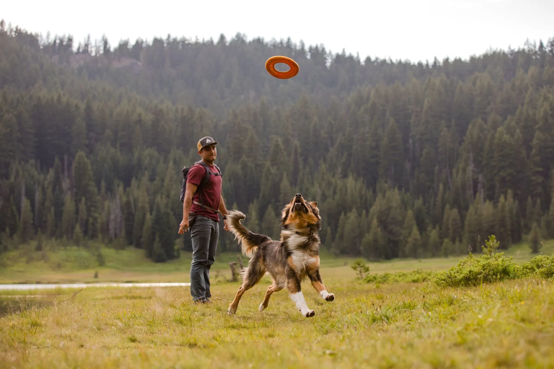 Ruffwear Hydro Plane™ High-Floating Foam Tug & Fetch Toy Fetch Dog Toy (Campfire Orange)