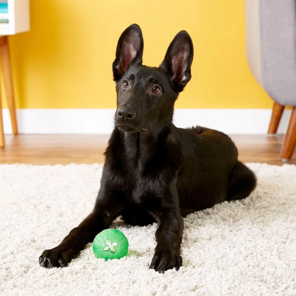 Starmark Treat Dispensing Chew Ball Tough Dog Toy